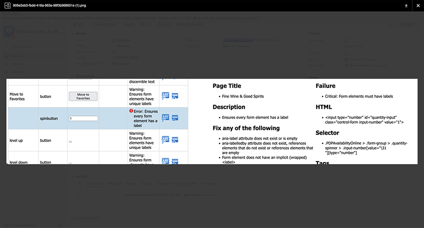Output from the Oracle Accessibility Toolbar showing a list of accessibility violations